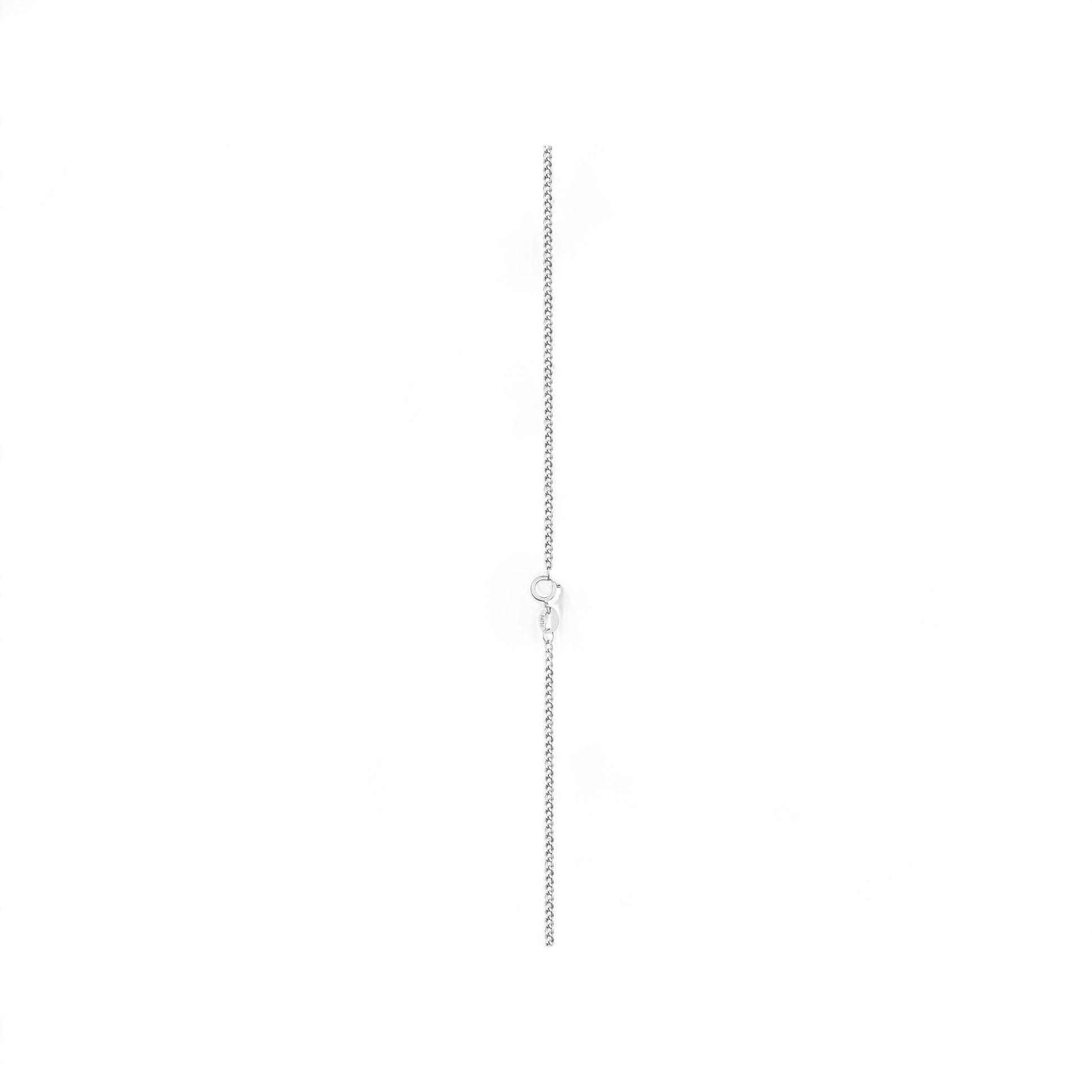 Silver chain necklace on a white background