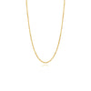Gold chain necklace on a white background