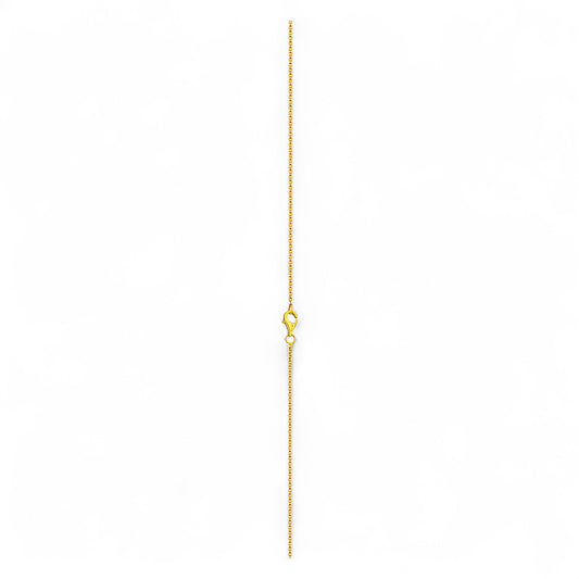 Gold chain necklace on a white background